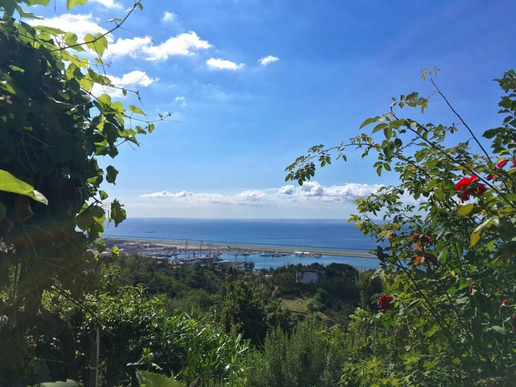 Вилла Agriturismo Fattoria Montecontessa Генуя Экстерьер фото